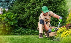 Landscape & Gardening Services