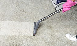 Carpet Cleaning Services